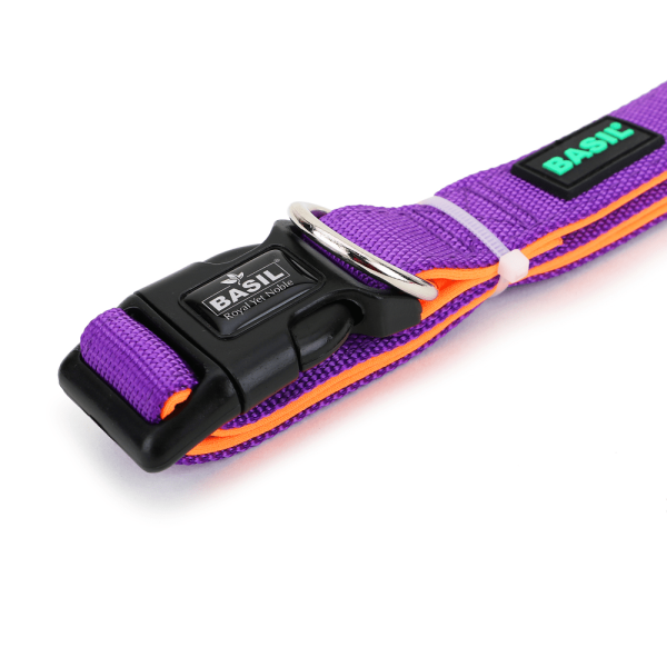 Basil Nylon Padded Collar for Dogs (Purple) Cheap