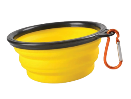 Emily Pets Bowl for Dogs and Cats (Yellow) Supply