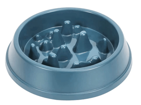 Emily Pets Slow Feeder Bowl for Dogs and Cats (Blue) For Cheap