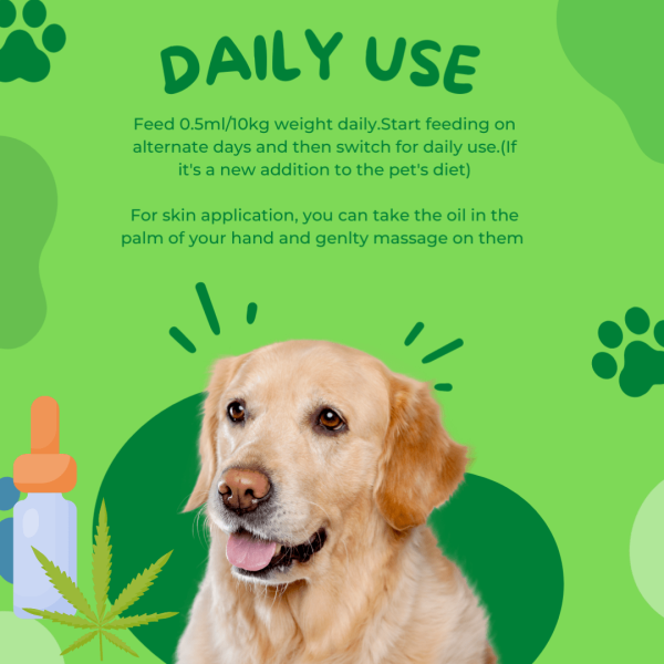 Healing Leaf Hemp Oil for Pets and Drools Absolute Salmon Oil Syrup Supplement for Dogs for Combo For Cheap