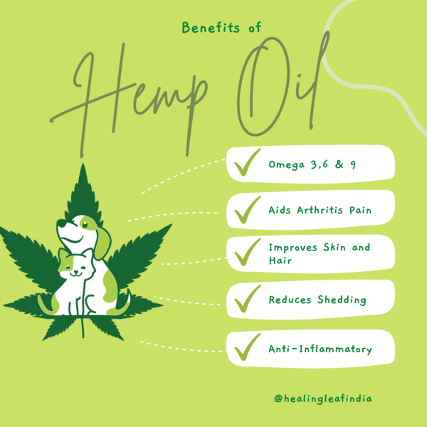 Healing Leaf Hemp Oil for Pets and Drools Absolute Salmon Oil Syrup Supplement for Dogs for Combo For Cheap