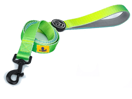 A Plus A Pets Skin Friendly Gradient Design Leash for Dogs (5ft, Green) Supply