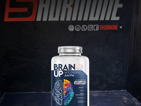 Longevidade e prevenção true brain up AM PM 60 Tabletes - True Source For Cheap