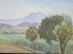 QUADRO VINTAGE DIPINTO ACQUERELLO PAESAGGIO CAMPAGNA EMILIANA FIRMATO P14 Hot on Sale