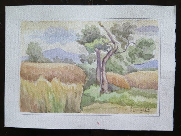 QUADRO VINTAGE DIPINTO ACQUERELLO PAESAGGIO CAMPAGNA FIRMATO 31x21 cm P14 Online Hot Sale