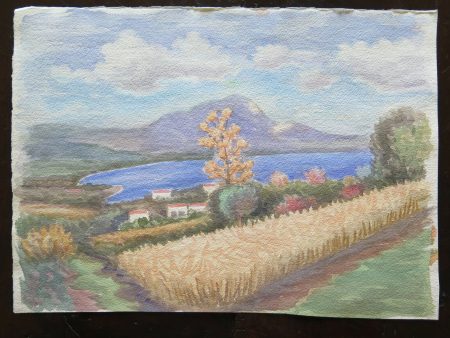 QUADRO VINTAGE DIPINTO ACQUERELLO PAESAGGIO CAMPAGNA EMILIA ROMAGNA 40x28 cm P14 Cheap