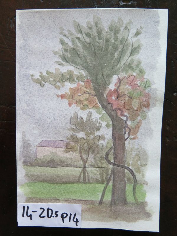 PICCOLO QUADRO VINTAGE DIPINTO ACQUERELLO PAESAGGIO VEDUTA CAMPAGNA 14x20 cm P14 Online Sale