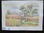 QUADRO VINTAGE DIPINTO ACQUERELLO PAESAGGIO CAMPAGNA FIRMATO 31x21 cm P14 Online Hot Sale