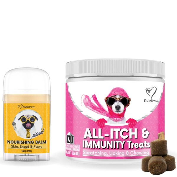 Itchy Dog Kit For Cheap