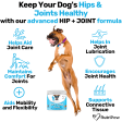 Hip & Joint Treats Online