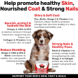 Skin & Coat Treats Supply