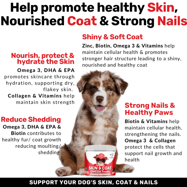 Skin & Coat Treats Supply