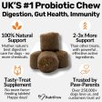 Pre, Pro & Postbiotic Digestive Treats For Sale