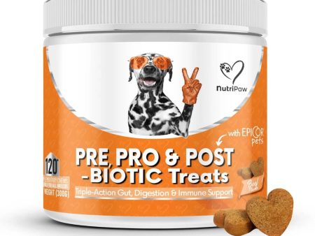 Pre, Pro & Postbiotic Digestive Treats For Sale