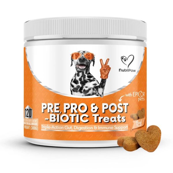 Pre, Pro & Postbiotic Digestive Treats For Sale