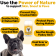 Skin, Snout & Paws Nourishing Balm 2 PACK Bundle Online