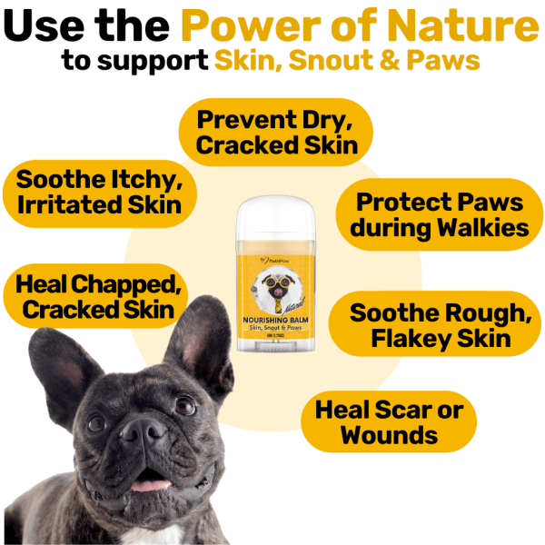 Skin, Snout & Paws Nourishing Balm 2 PACK Bundle Online