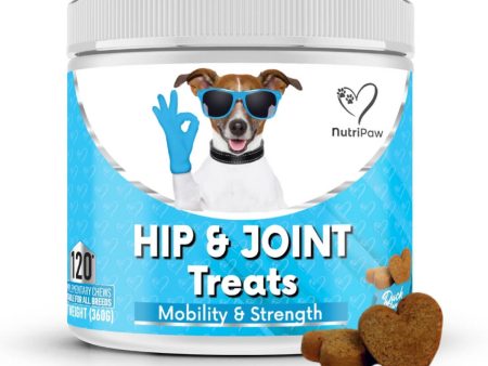 Hip & Joint Treats Online